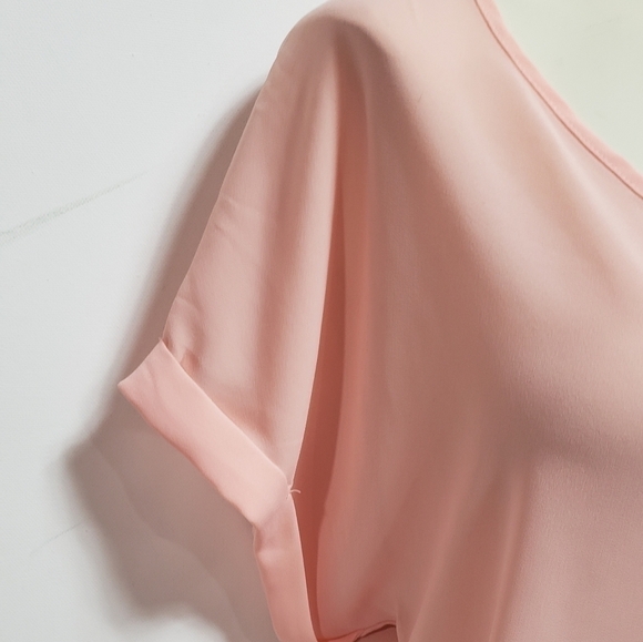 Pink Rose Sheer Short Sleeve Blouse - Picture 2 of 4